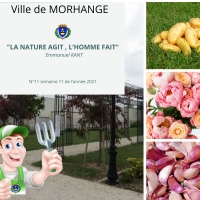 La nature agit, l'homme fait : Semaine 11